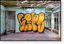 HDR graffiti streetart street-art street art skeleton factory urbex roa klaas van der linden kunst kunstwerk decay verlaten lost place places abandoned